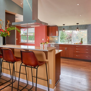 Primary Contemporary Kitchen Renovation