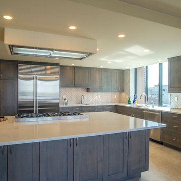Downtown Seattle Penthouse Kitchen Remodel