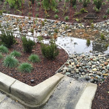 side yard / drainage