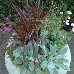 Various containers - Outdoor Pots And Planters