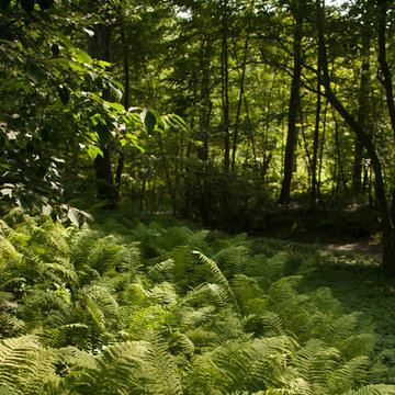 Guilford Hilltop