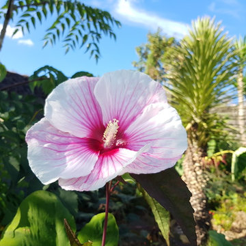 Les jardins du coteau