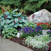 Plants