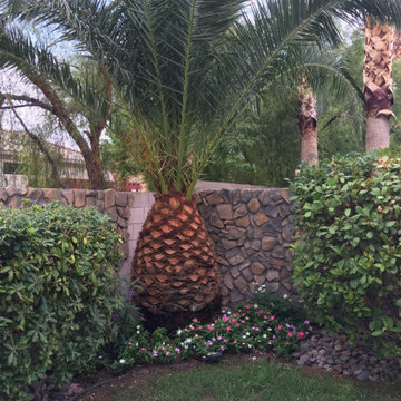 All Seasons Maintenance and Landscaping