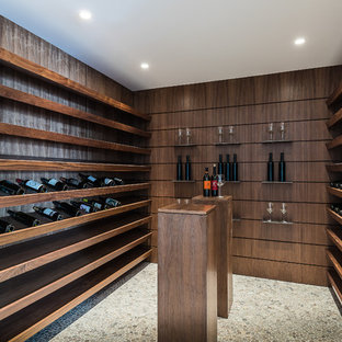 ロサンゼルスの中サイズのモダンスタイルのおしゃれなワインセラー (ディスプレイラック) の写真