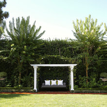 back yard