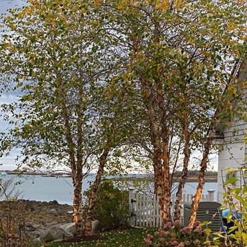 Oceanside Landscape Lighting