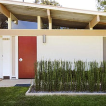 New Exterior