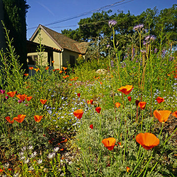 2017 Native Plant Garden Tour