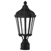 Morgan 1 Light Textured Black/Silver Cluster Small Outdoor Post Top Lantern