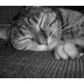 Tammy Fee's photo