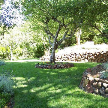 Landscape Design & Installation