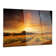 Prints