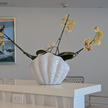 Ocean Condominium & Lake (Intra-coastal) Condominium Public Spaces