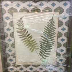 "Scolopendrium" Fern Art Prints - John-Richard - Fine Art Prints
