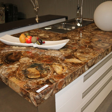 Petrified wood quartzite countertops