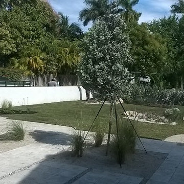 Coastal / Beach Style Landscaping design