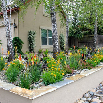 Drought Tolerant Front Yard Landscapes