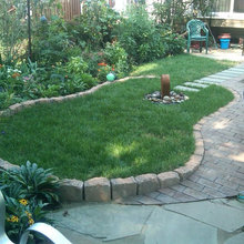 Jeremys backyard