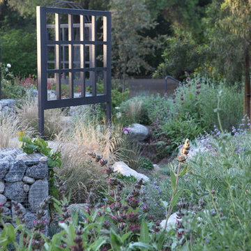 The Sage Beauty of a Bioswale