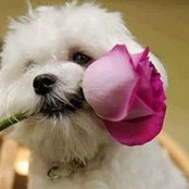 Beatriz Saez Philpott's photo