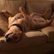Mark Weikel's photo