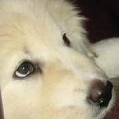 Foto von Beth Bentley