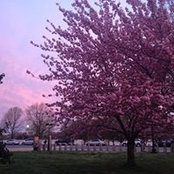 Stephanie Berger's photo