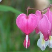 Chris Griffin's photo