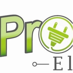 Pro Stat Electric