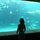 bryant_robison
