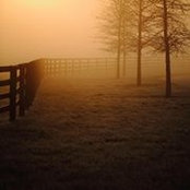 Scott Campbell's photo