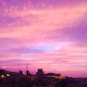 Marcia Cohen's photo