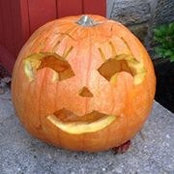 Michele Corcoran Ziegler's photo