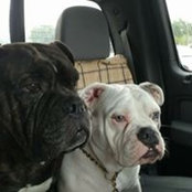 Hannah Bauman-Jones's photo