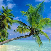 R Naidu's photo