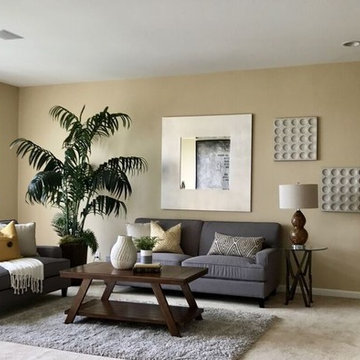 Luxury Home Staging