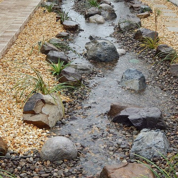 Rain Garden