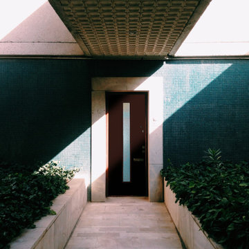 Modern Home Front Door | Front Door Ideas