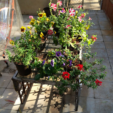 Pune Garden
