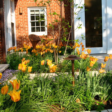 Courtyard Garden
