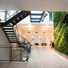 Vertical Garden Stairs
