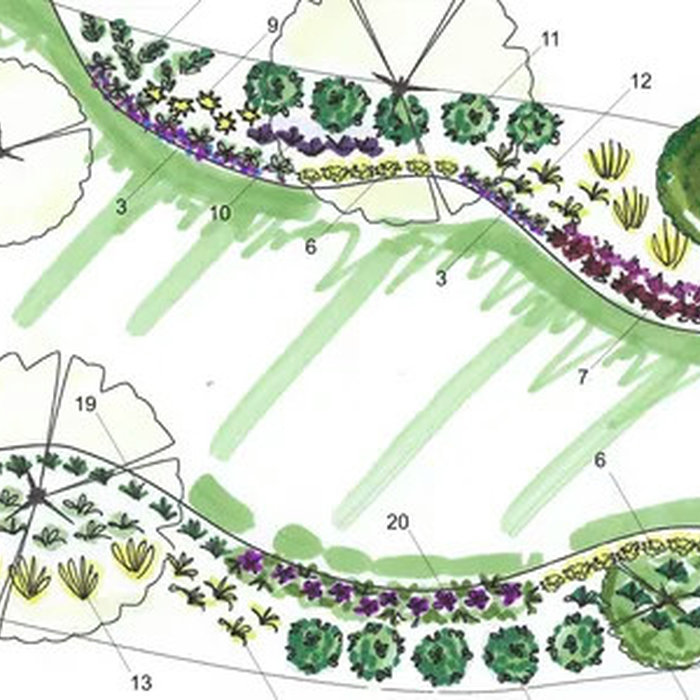 GARDEN PROJECT TO INTRODUCE NATIVE PLANTS INTO THE GARDEN BY PETER ATKINS AND ASSOCIATES