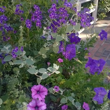 Seasonal flower containers and pots