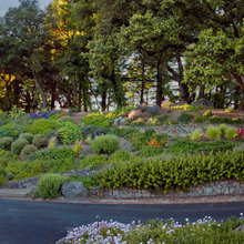 Island in the driveway