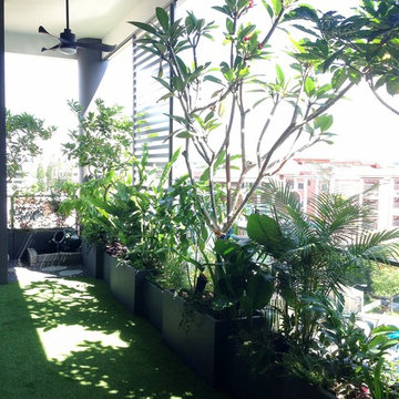 Balcony Garden