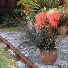 Landscape Ideas