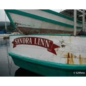 Sandra Linns billede