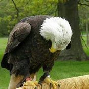 Donna Martin's photo