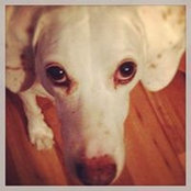Melissa Carroll's photo